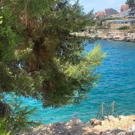 Tarita Trogir